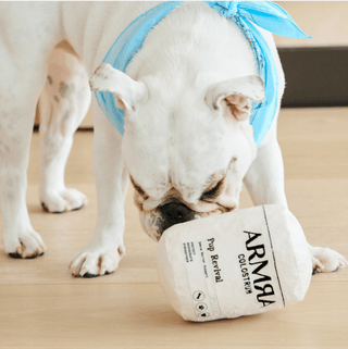 Pup Revival Dog Toy - ARMRA